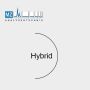 Acquity® UPLC BEH HILIC Column, 130Å, 1.7 µm, 3 mm X 100 mm, 3/pkg thumbnail