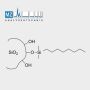 LiChrosorb RP-8 7µm 40x4,0mm HPLC Column thumbnail